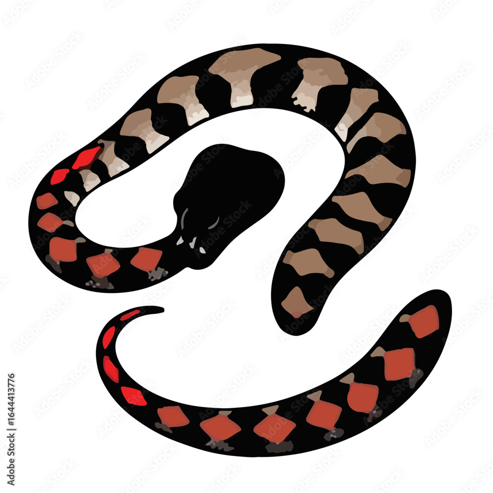 Naklejka premium Animated Red Tail Boa