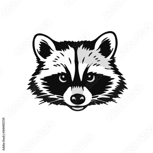 Black Raccoon Animal
