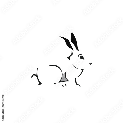 Black Rabbit Animal