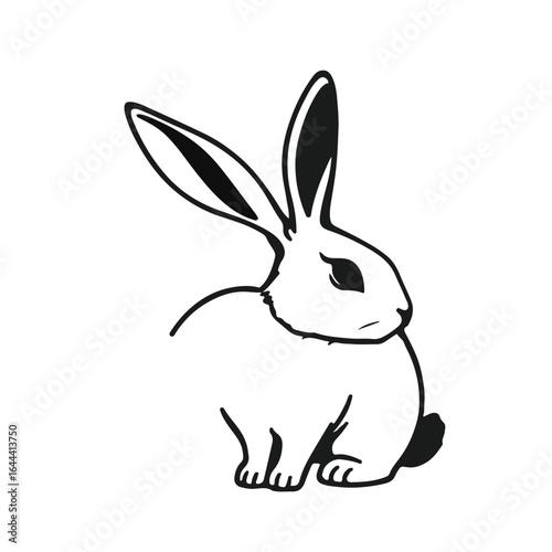 Black Rabbit Animal illustrated