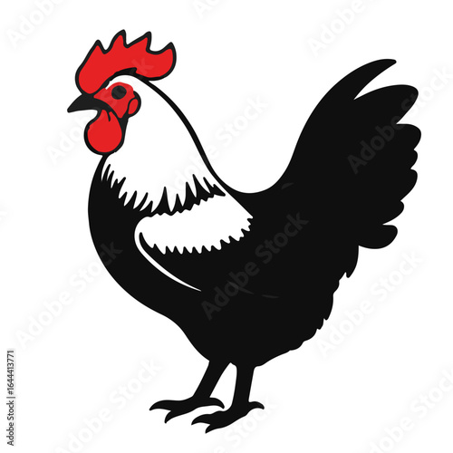 Animated Rhode Island Red Chicken