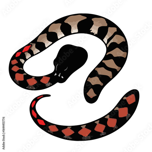 Animated Red Tail Boa