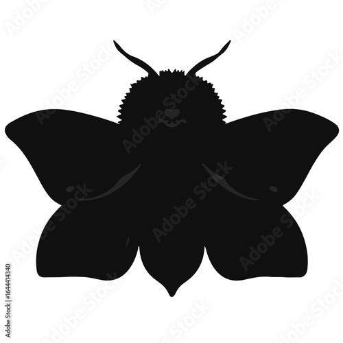 Black Puss Moth