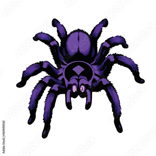 Purple Tarantula Illustration