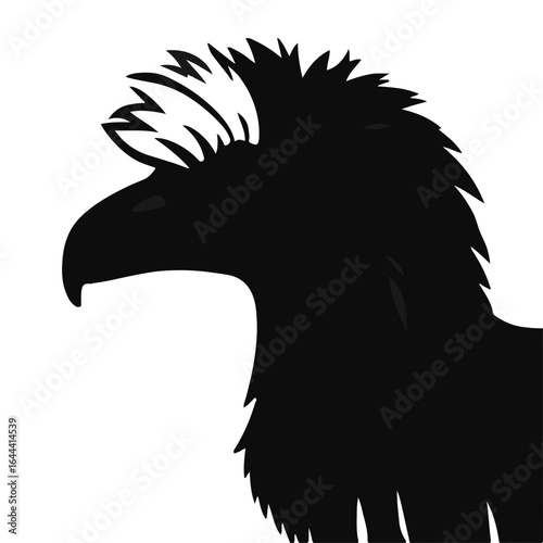 Black Puli Animal