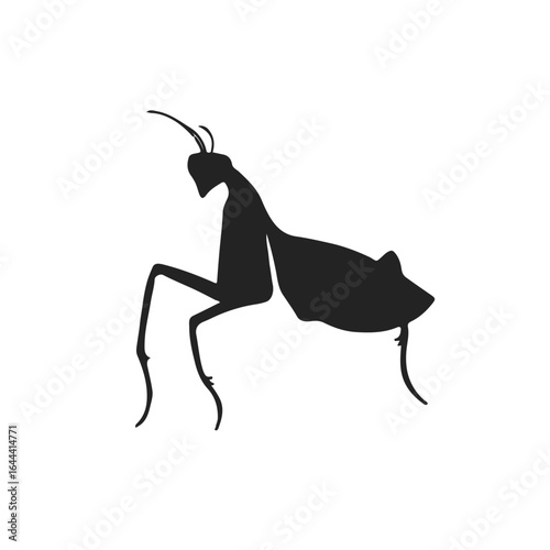 Praying Mantis Illustration