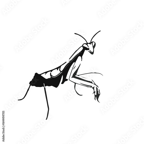 Praying Mantis Symbol