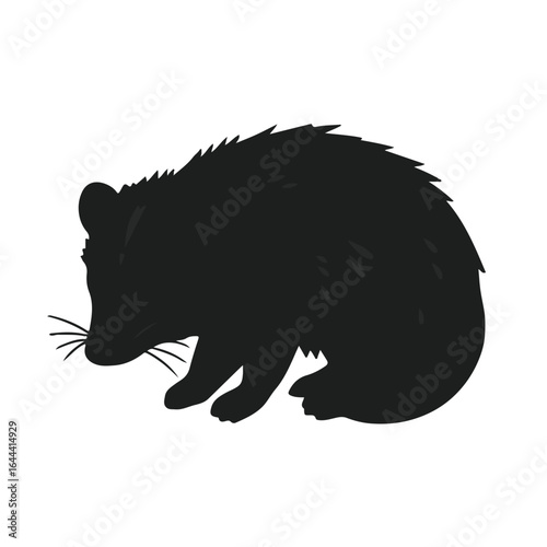 Black Possum Illustration