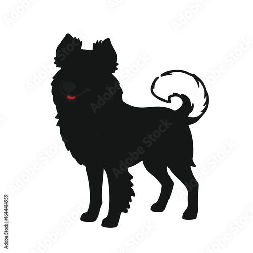 Portuguese Podengo Dog Portrait