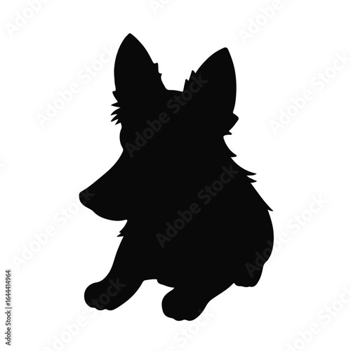 Portuguese Podengo Dog