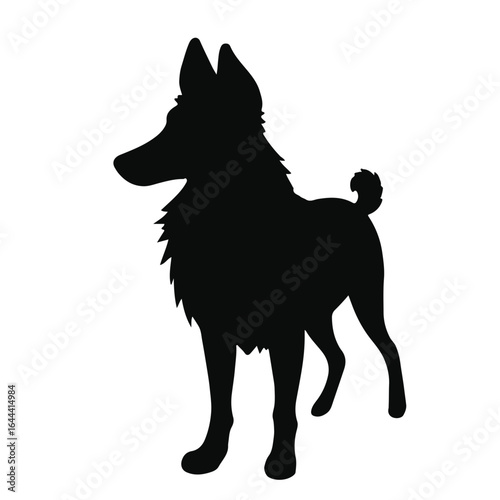 Portuguese Podengo Pet