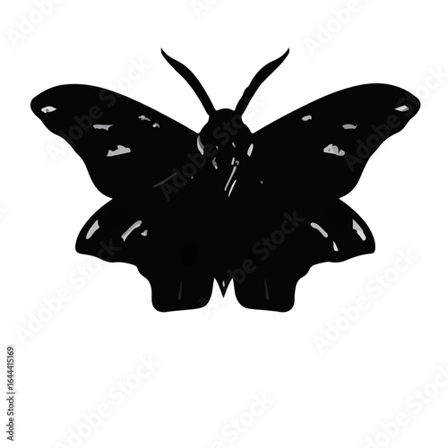 Polyphemus Moth Detail