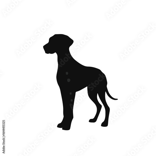 Plott-Hound-Mix Animal