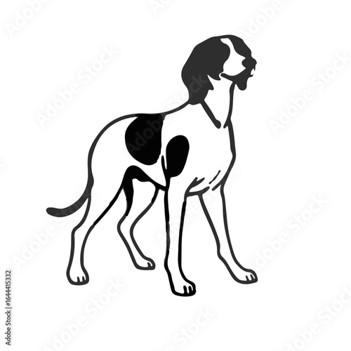 Plott Hound Visual