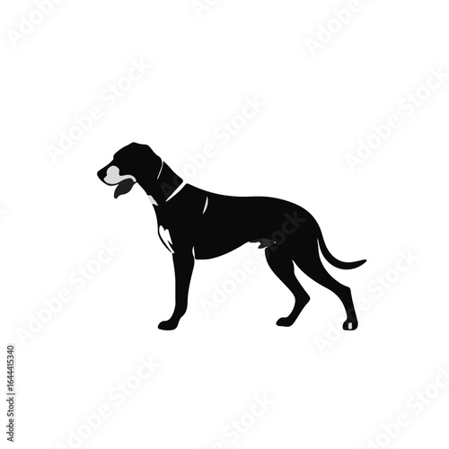 Plott Hound Animal