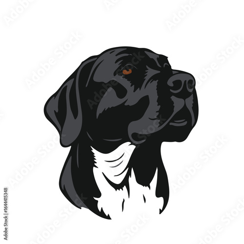 Plott Hound Tracking