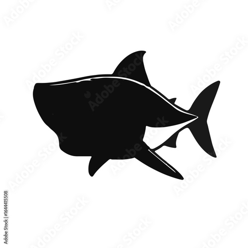 Black Piranha Illustration