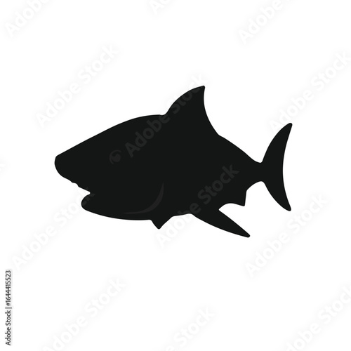 Black Piranha Illustration