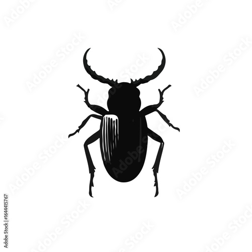 Pine-Beetle