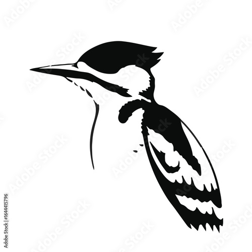 Pileated Woodpecker Image