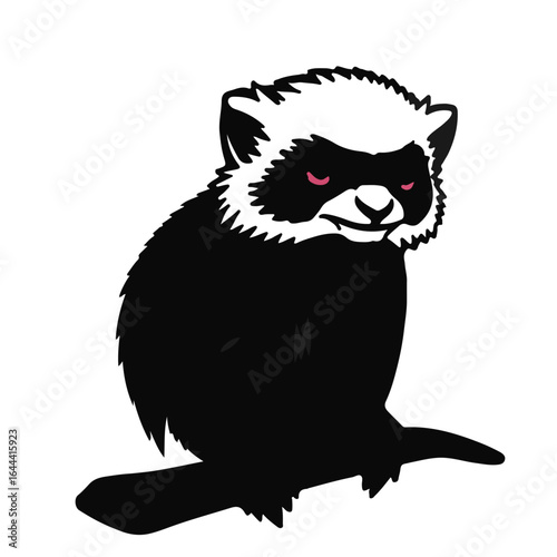 Pied Tamarin Primate