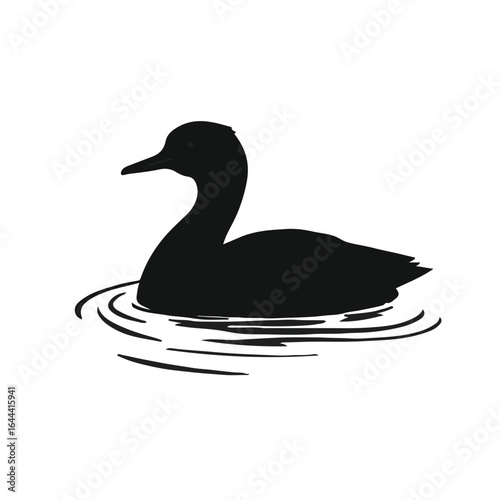 Pied-billed Grebe Illustration