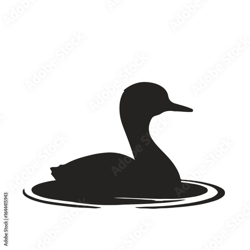 Pied-billed Grebe Illustration
