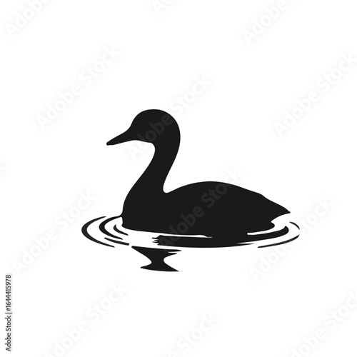 Pied-billed Grebe illustration