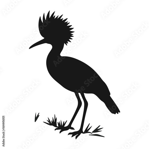 Pheasant-tailed Jacana Image