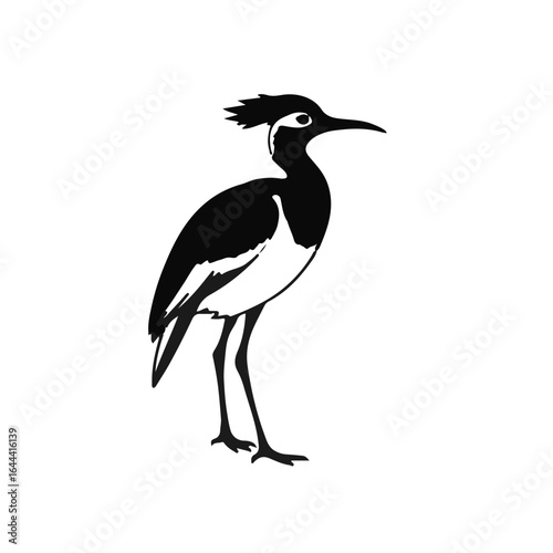 Pheasant-tailed Jacana Image