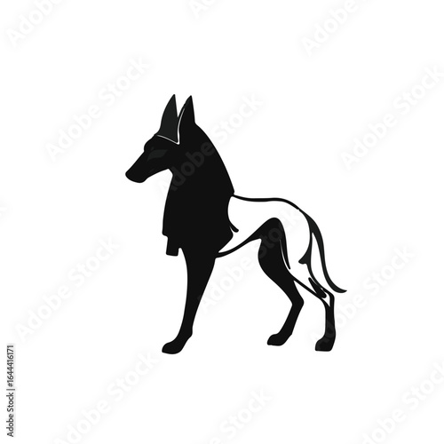 Pharaoh Hound Animal