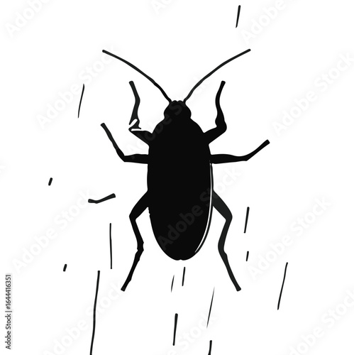 Pennsylvania Wood Cockroach