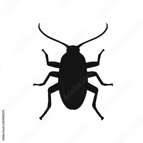 Pennsylvania Wood Cockroach