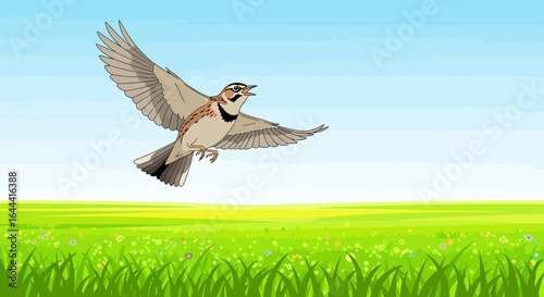 Illustration of a skylark in flight over a green field, capturing nature's beauty with bright color palettes and clean artwork portraying freedom