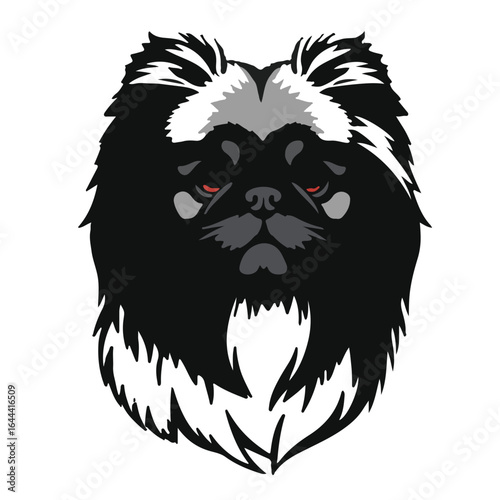 Black Pekingese Dog
