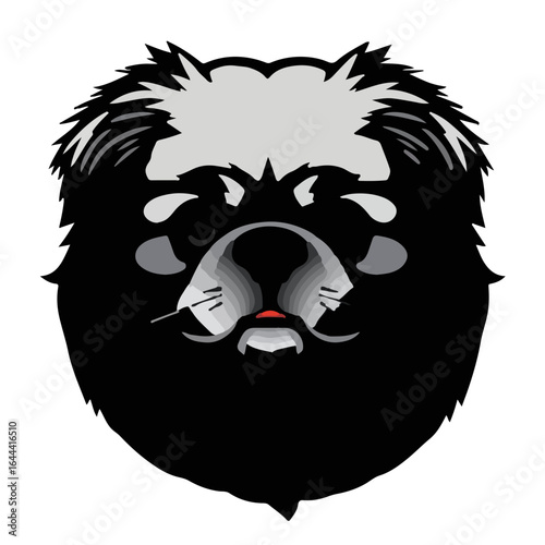 Black Pekingese Pet
