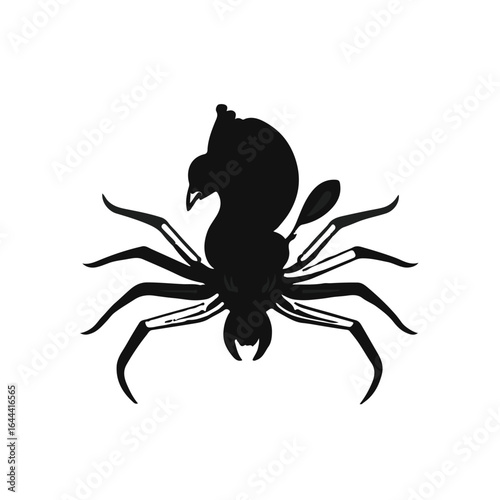 Peacock Spider Arachnid