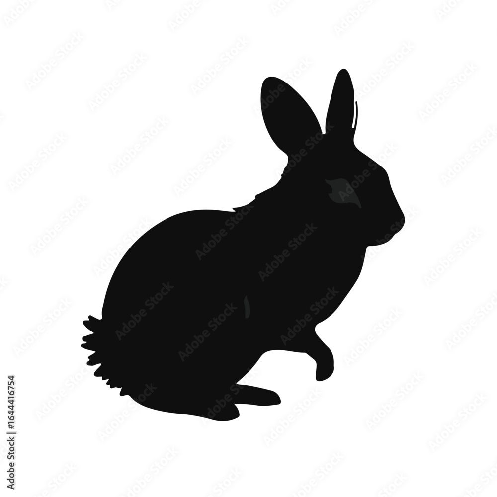 Obraz premium Patagonian Cavy