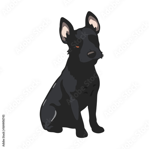 Parson Russell Terrier