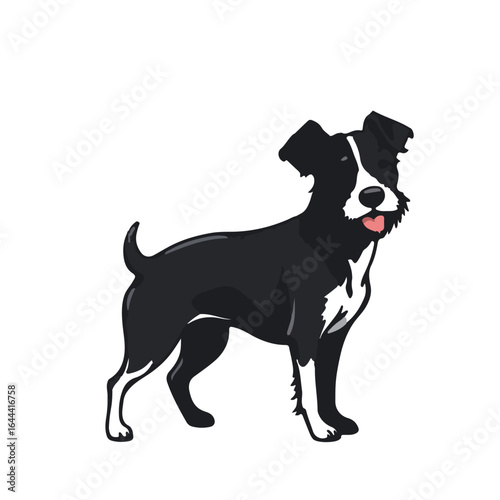 Parson Russell Terrier Image