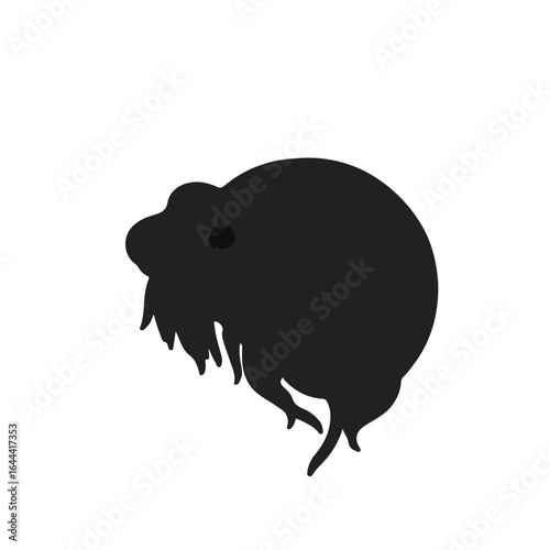 Pacific Eel Spaghetti Art