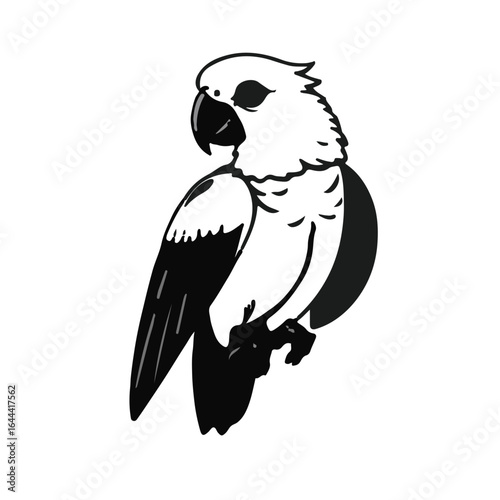 Dracula's Parrot Illustration