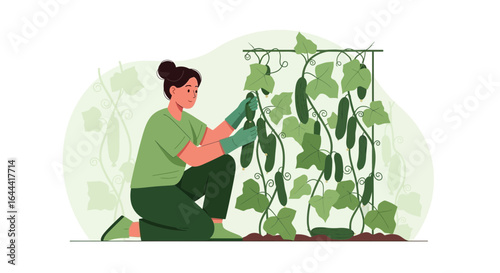 Illustration of a Woman Harvesting Cucumbers in a Home Garden Setting with Trellis Support