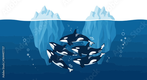 Illustration of killer whales swimming in the ocean near icebergs in the Arctic waters with a flat design for marine life awareness