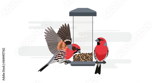 Illustration of pine grosbeaks enjoying seeds at a bird feeder in winter scene