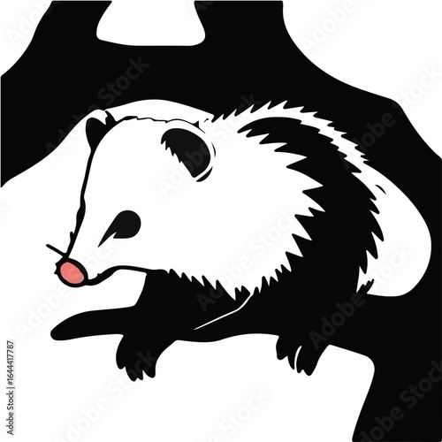 Black Possum Animal
