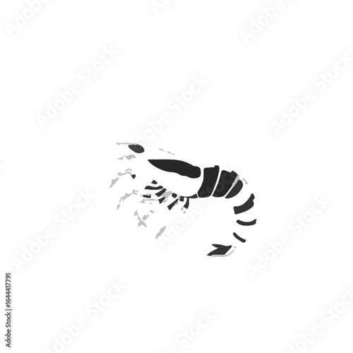 Black Prawn Animal