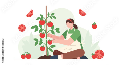 Illustration of woman tending to a tomato plant in a garden setting with ripe tomatoes