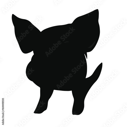 Black Pig Animal