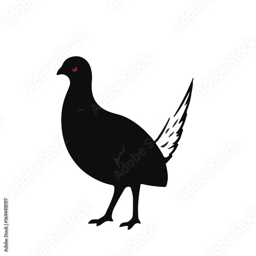 Black Pheasant Animal